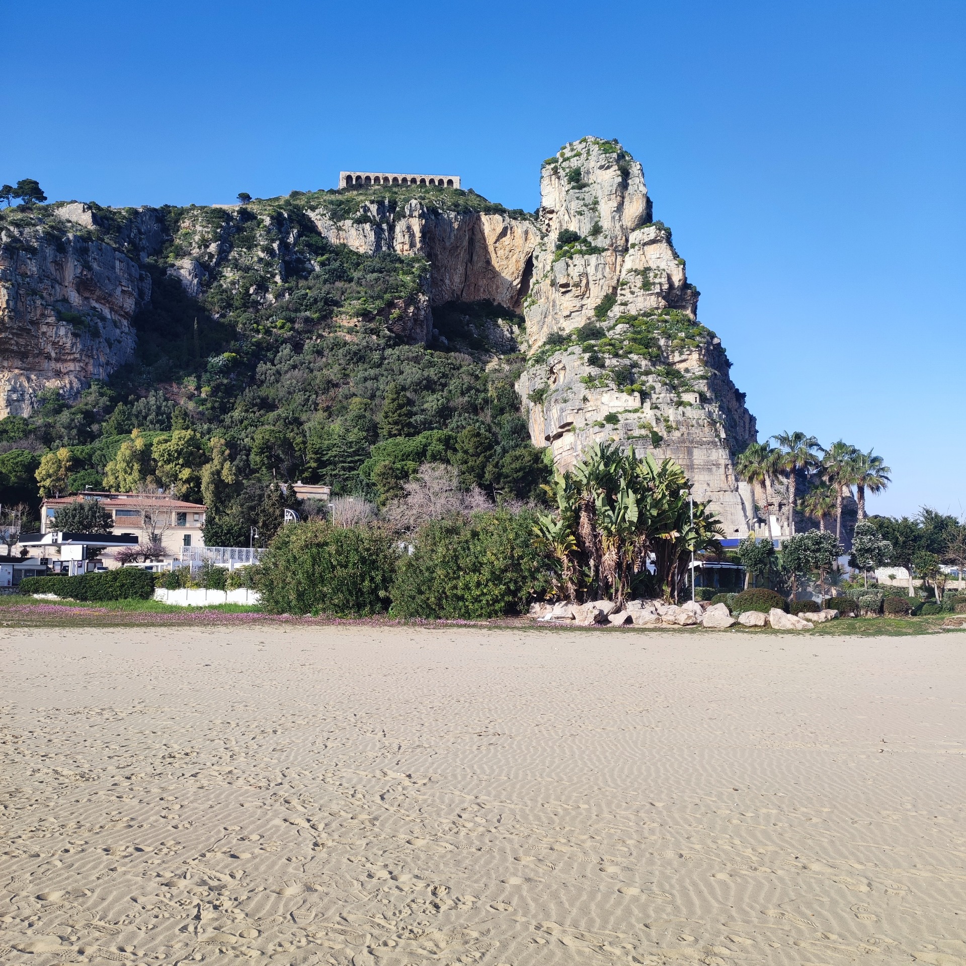 Promontorio di Terracina: nell areale si produce il raro Moscato di Terracina, inserito nel registro nazionale della vite e i vitigni, come varietà unica di moscato